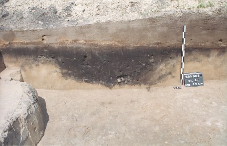 Click to zoom the picture.